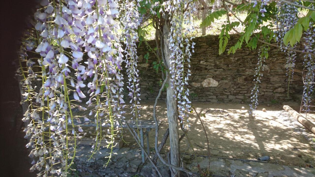 Le Mercou En Cevennes Saint-Martin-de-Boubaux ภายนอก รูปภาพ
