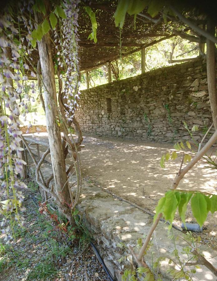 Le Mercou En Cevennes Saint-Martin-de-Boubaux ภายนอก รูปภาพ