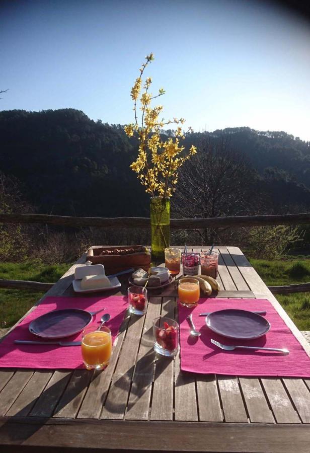 Le Mercou En Cevennes Saint-Martin-de-Boubaux ภายนอก รูปภาพ
